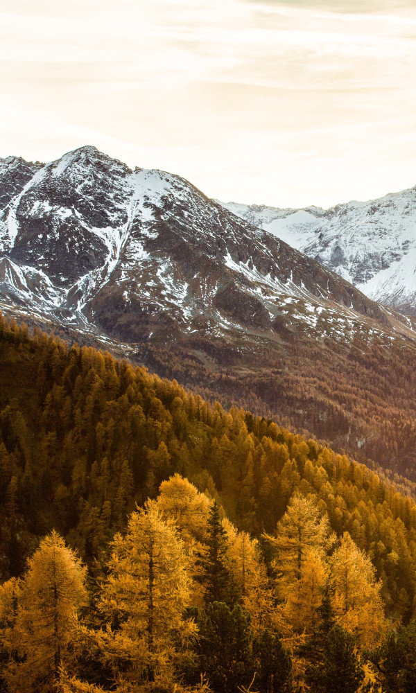 Wanderzeit im Johannesbad Hotel Palace